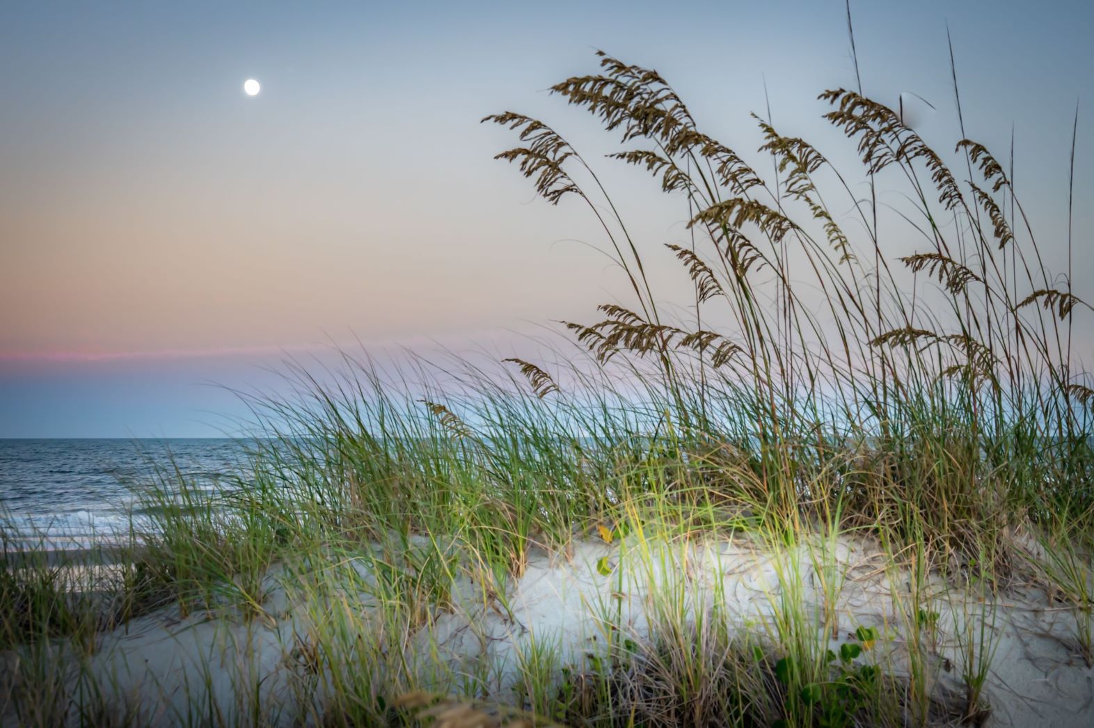 Beach image