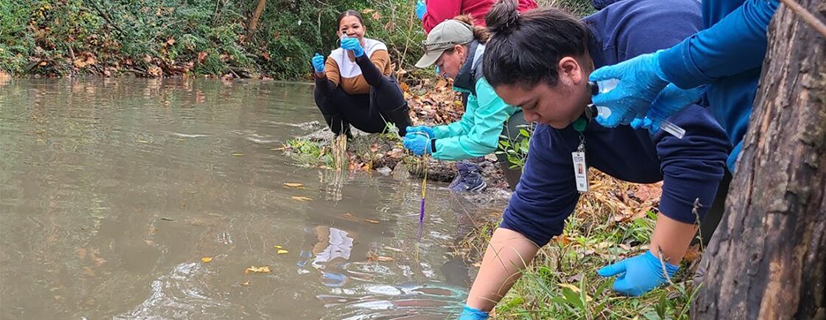 freshwater volunteers