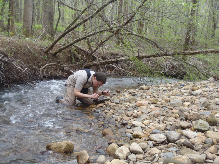 Macroinvertebrate 3