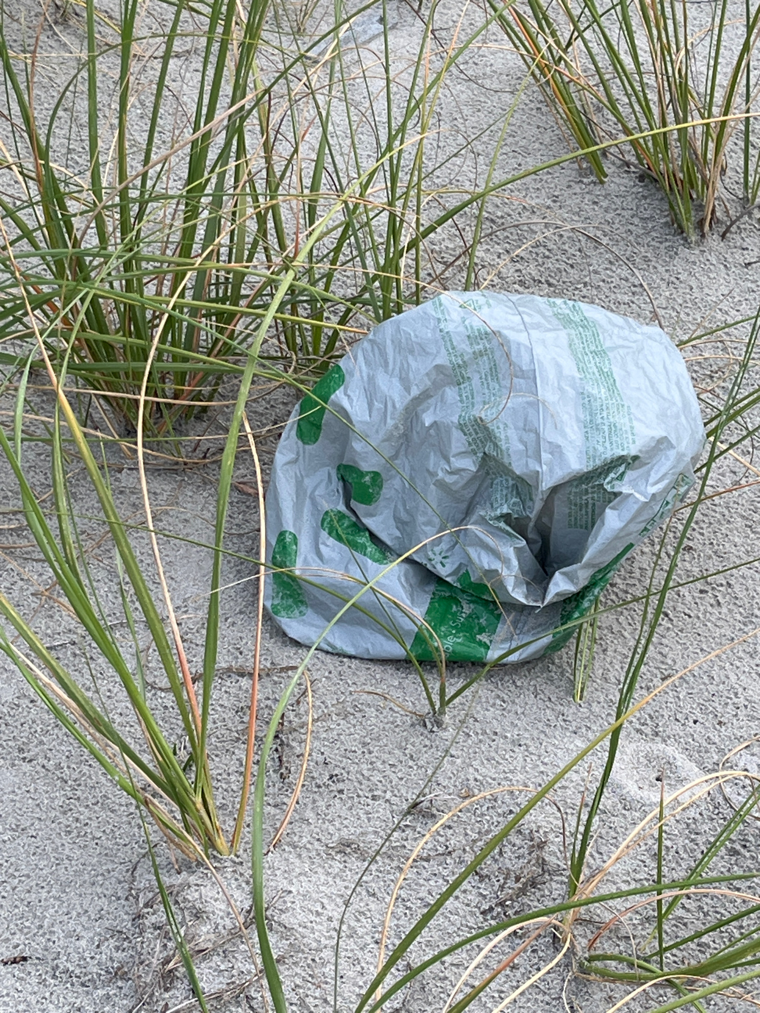 plastic bag on beach