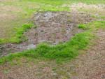 Septic tank in yard image